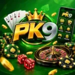 pk9 game